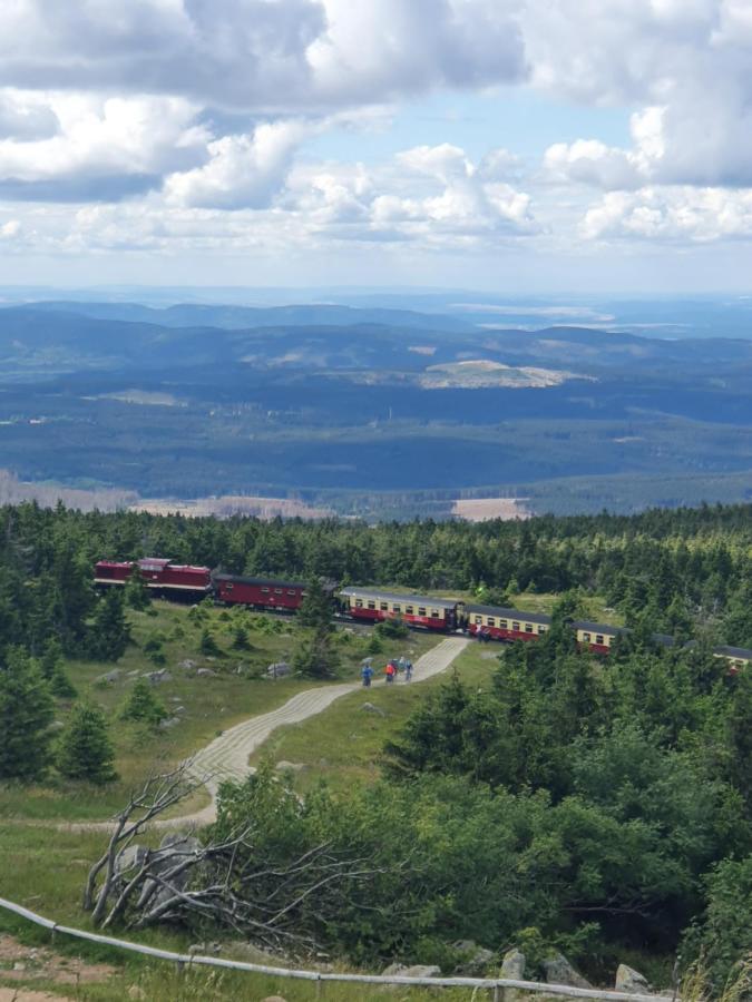 Modernisierte Ferienwohnung Naturseelen Mit Schwimmbad Und Sauna Braunlage Exterior foto